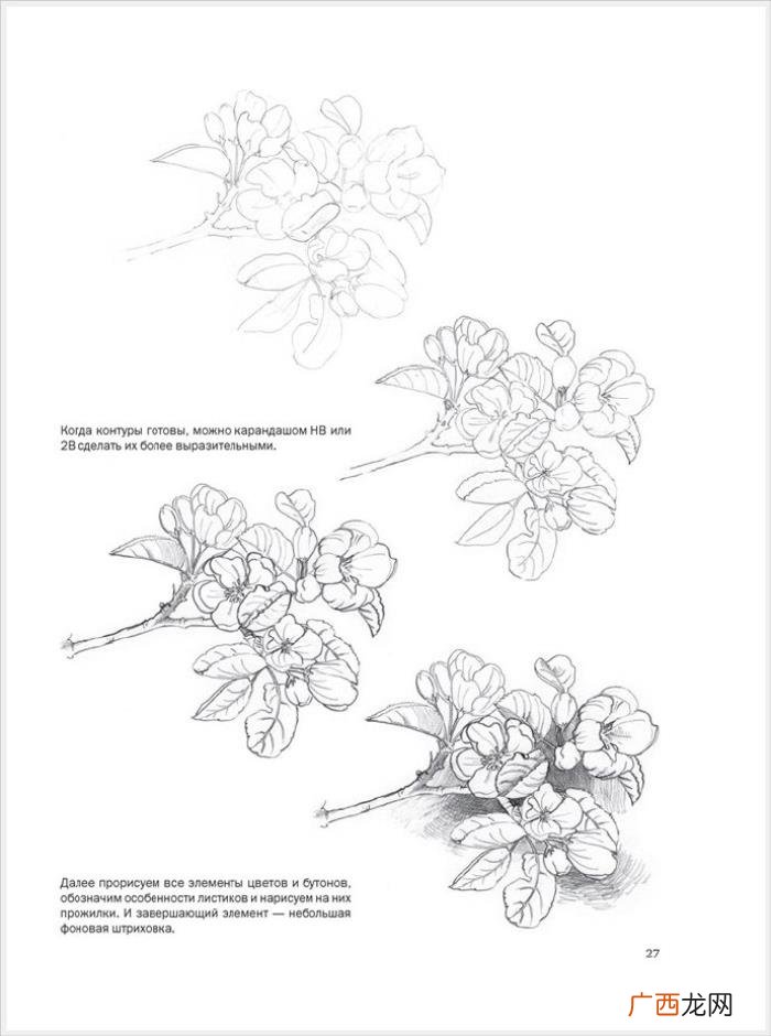 参考资料 素描画初学，适合初学者的简单素描绘画课程