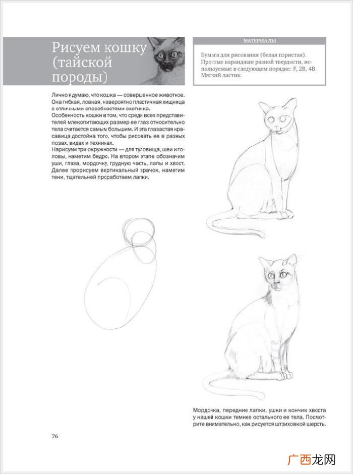 参考资料 素描画初学，适合初学者的简单素描绘画课程
