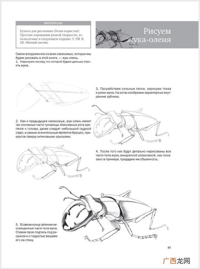 参考资料 素描画初学，适合初学者的简单素描绘画课程
