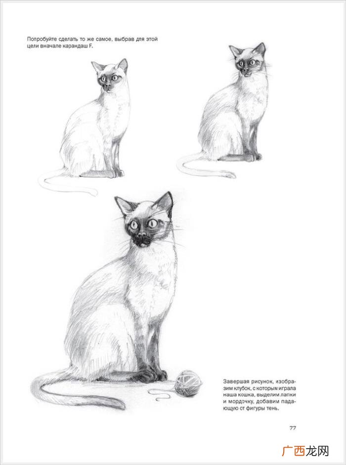 参考资料 素描画初学，适合初学者的简单素描绘画课程