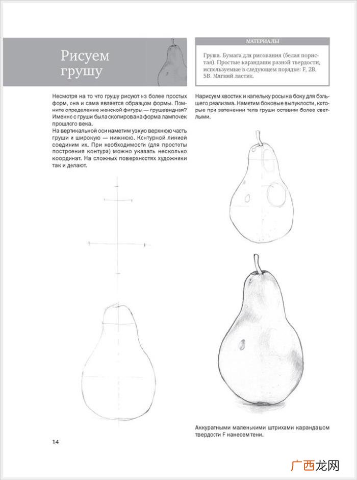 参考资料 素描画初学，适合初学者的简单素描绘画课程