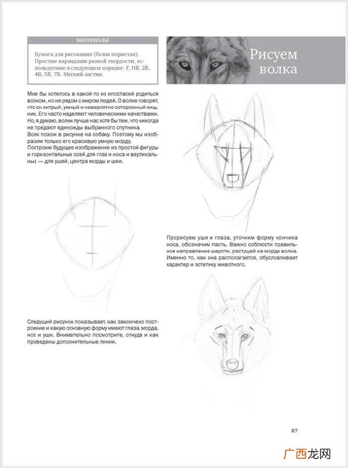 参考资料 素描画初学，适合初学者的简单素描绘画课程