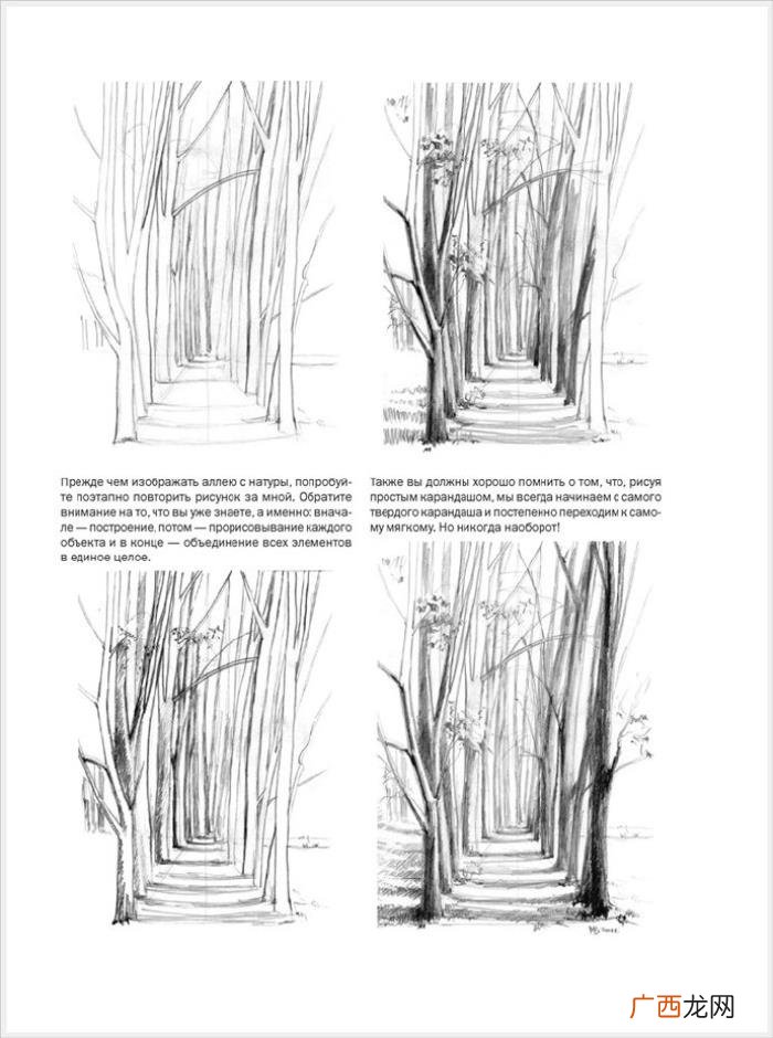 参考资料 素描画初学，适合初学者的简单素描绘画课程