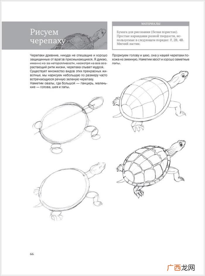 参考资料 素描画初学，适合初学者的简单素描绘画课程