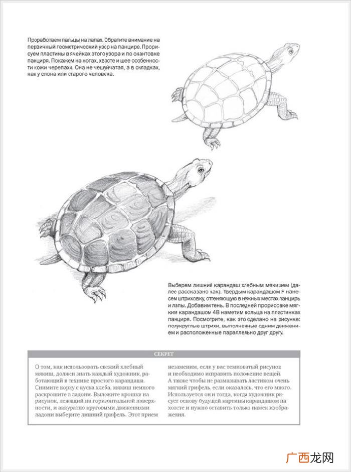 参考资料 素描画初学，适合初学者的简单素描绘画课程