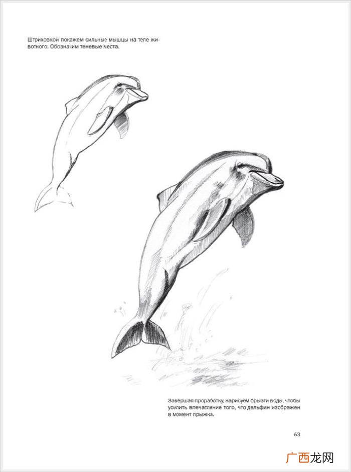 参考资料 素描画初学，适合初学者的简单素描绘画课程