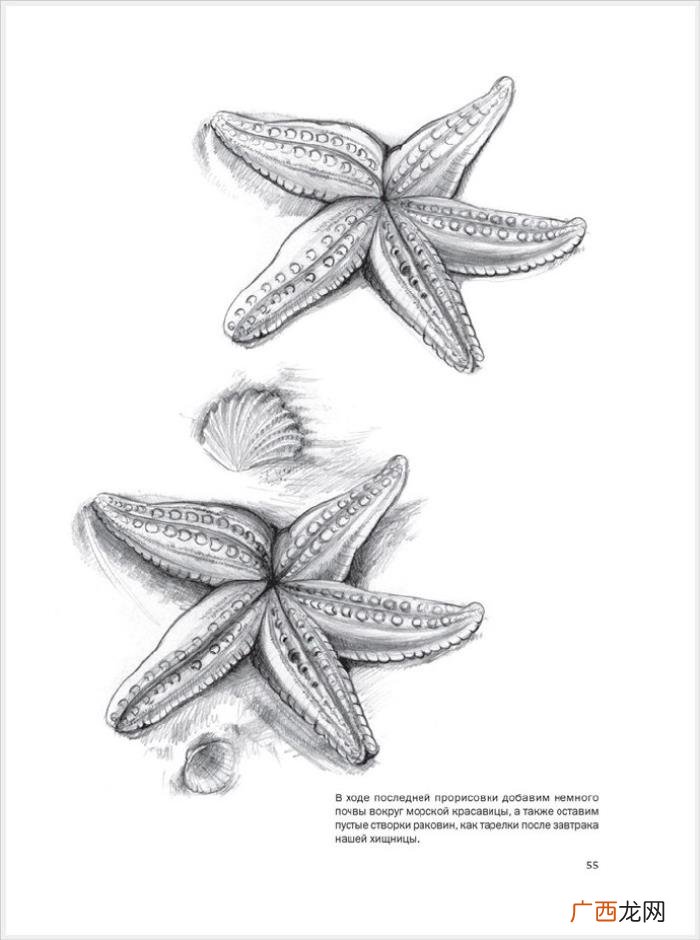 参考资料 素描画初学，适合初学者的简单素描绘画课程