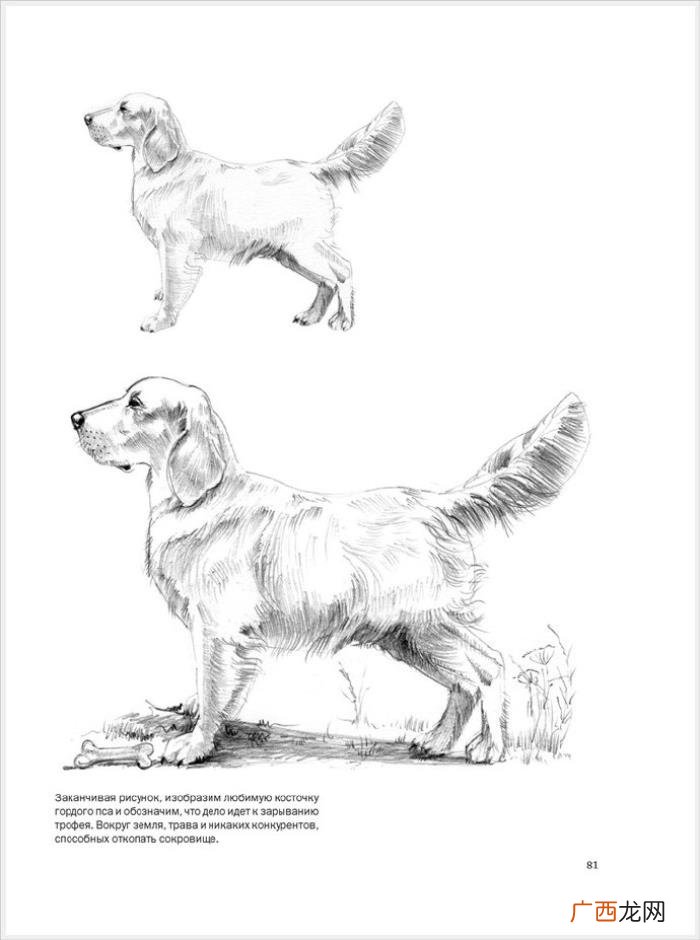 参考资料 素描画初学，适合初学者的简单素描绘画课程