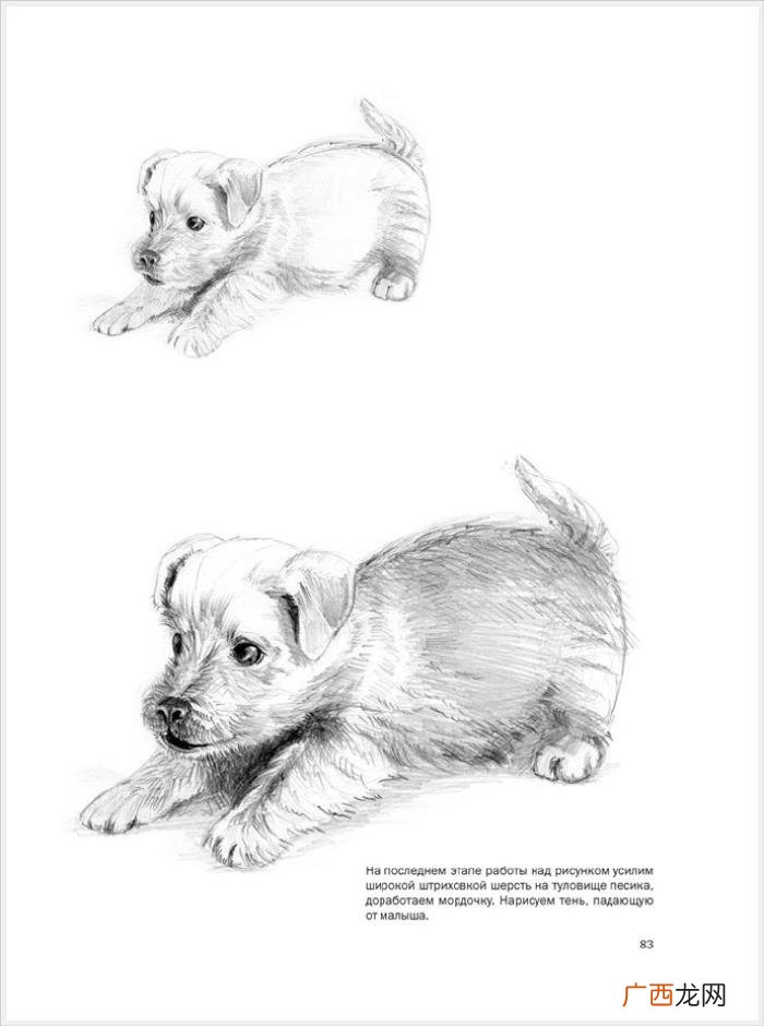 参考资料 素描画初学，适合初学者的简单素描绘画课程