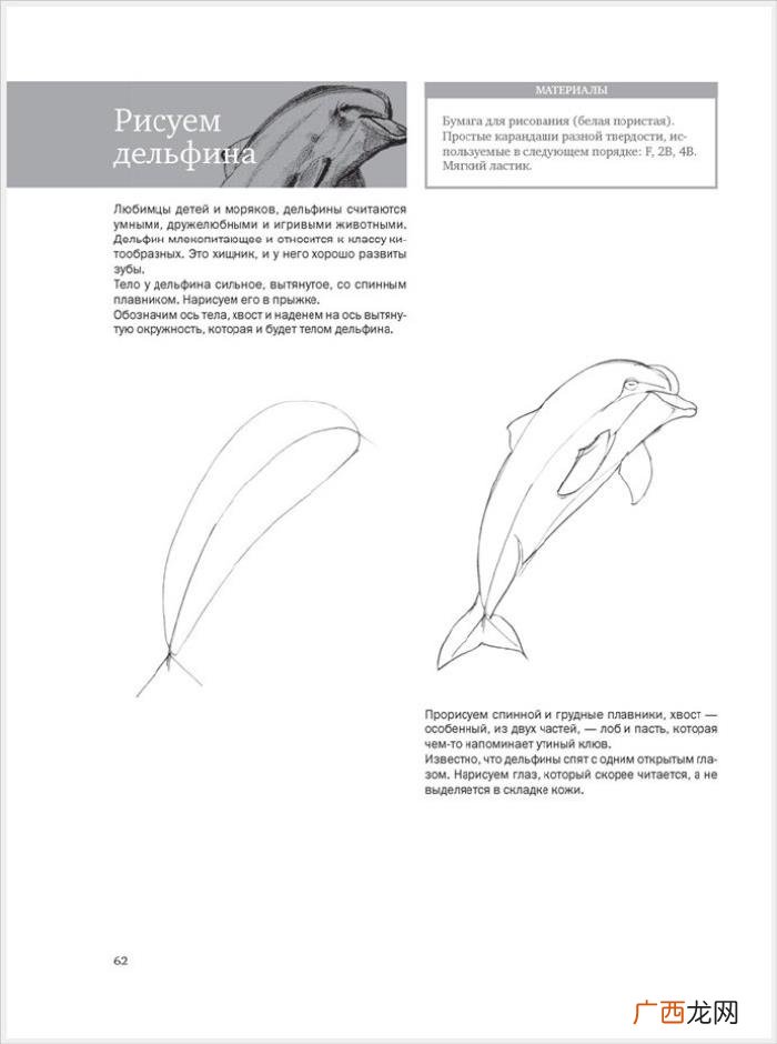参考资料 素描画初学，适合初学者的简单素描绘画课程
