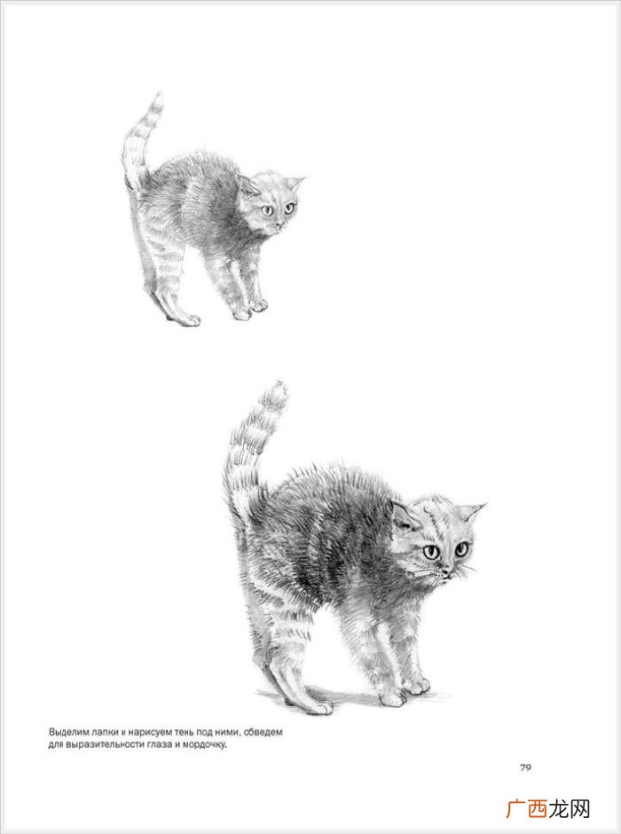 参考资料 素描画初学，适合初学者的简单素描绘画课程