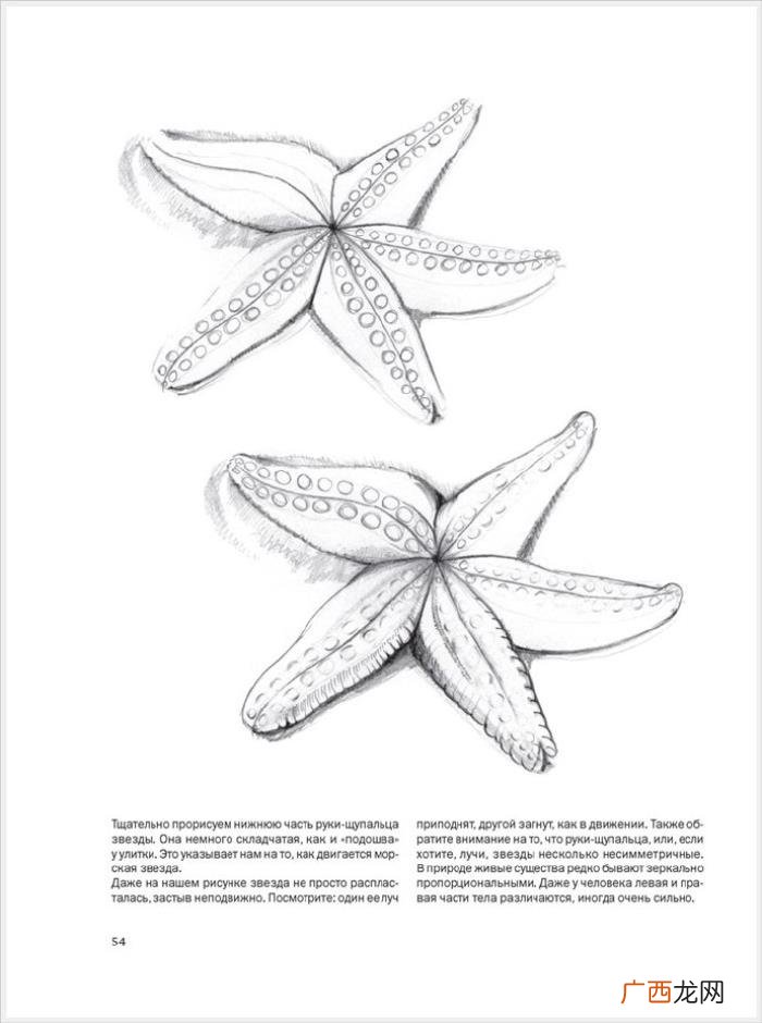 参考资料 素描画初学，适合初学者的简单素描绘画课程