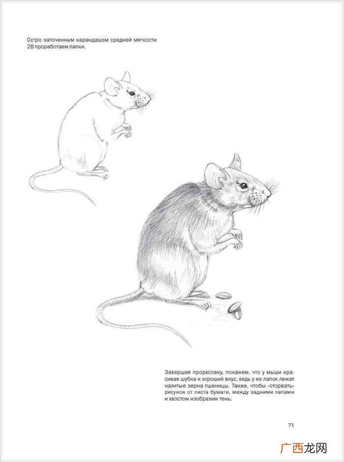参考资料 素描画初学，适合初学者的简单素描绘画课程