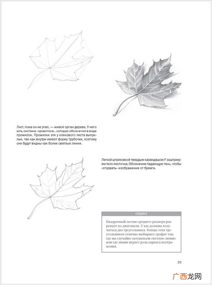 参考资料 素描画初学，适合初学者的简单素描绘画课程