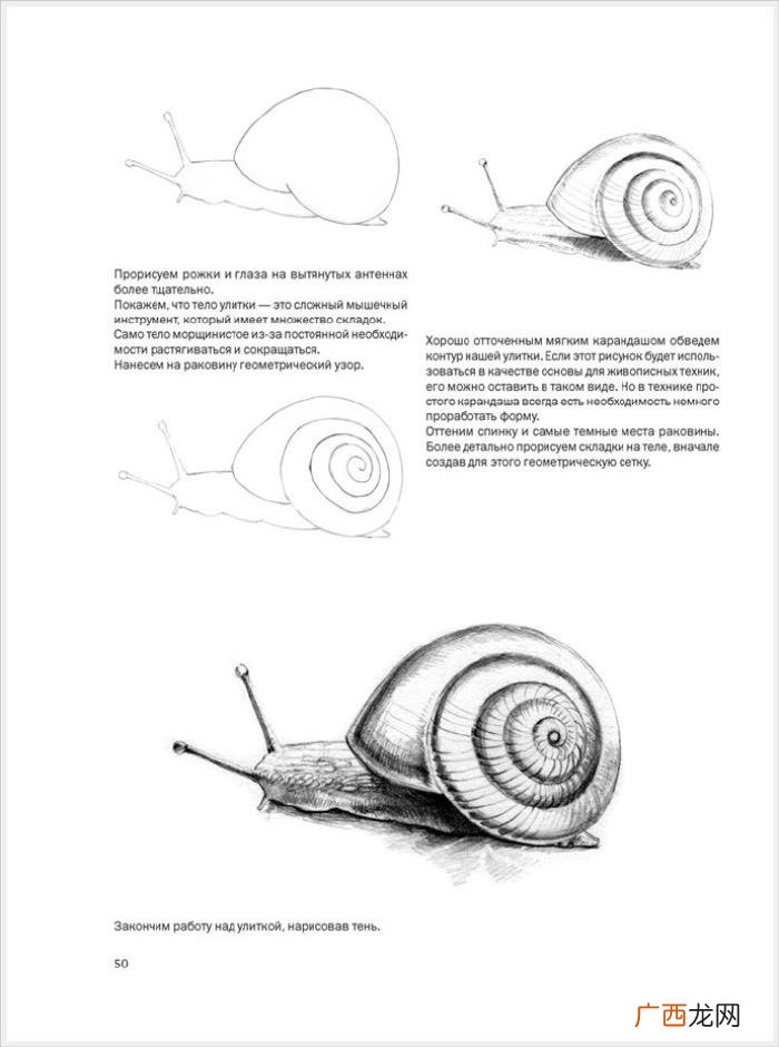 参考资料 素描画初学，适合初学者的简单素描绘画课程