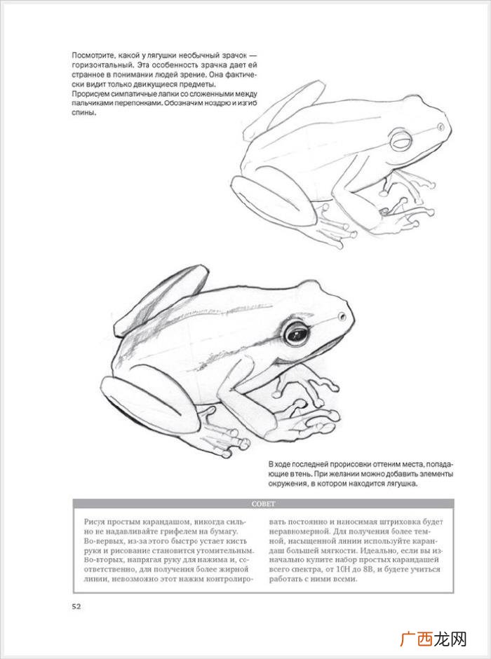 参考资料 素描画初学，适合初学者的简单素描绘画课程