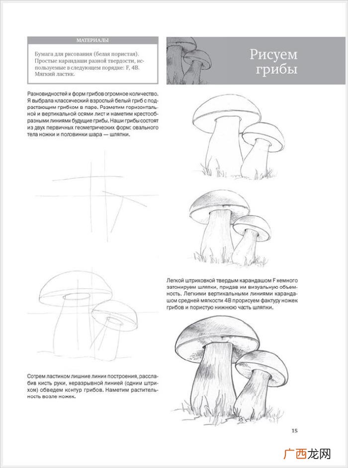参考资料 素描画初学，适合初学者的简单素描绘画课程