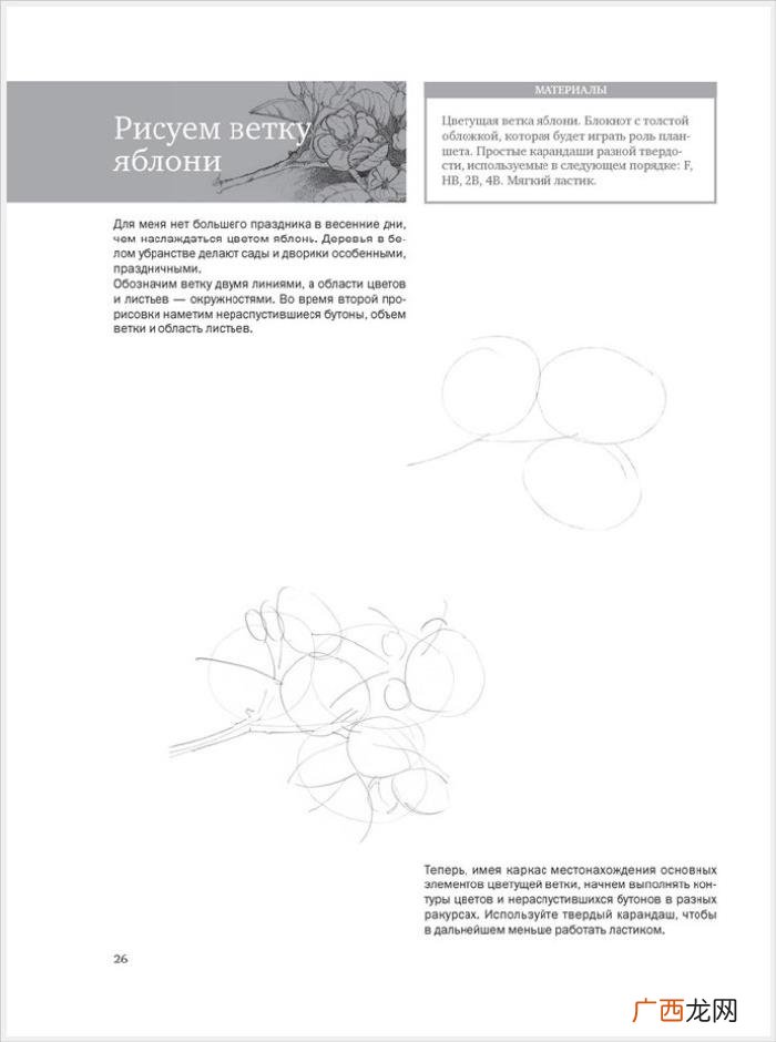 参考资料 素描画初学，适合初学者的简单素描绘画课程