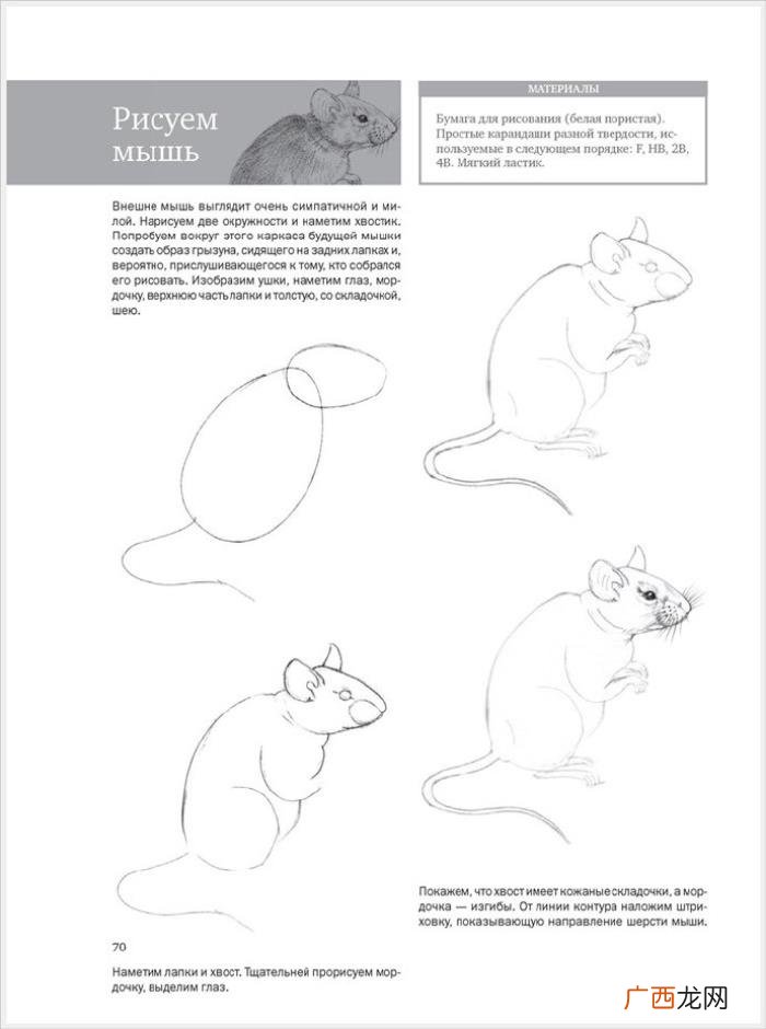 参考资料 素描画初学，适合初学者的简单素描绘画课程