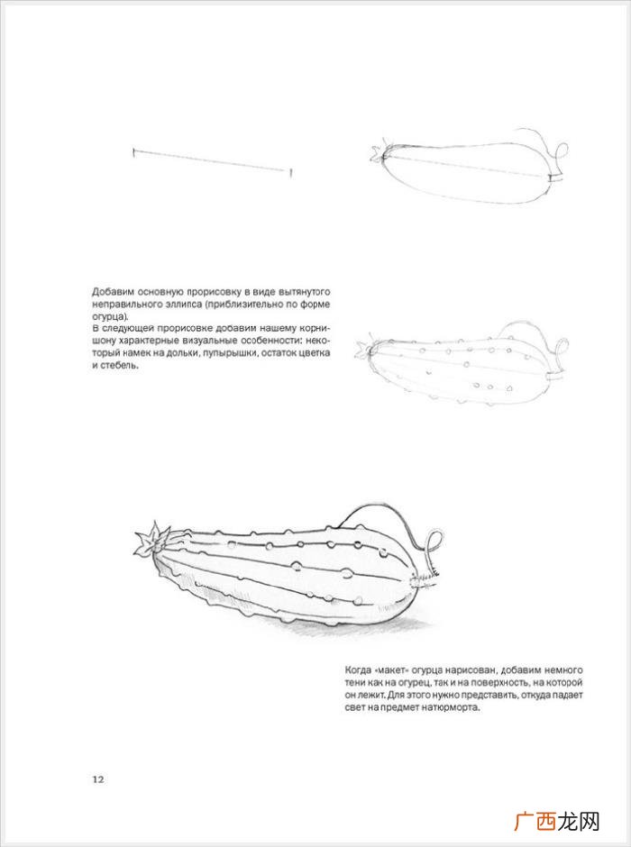 参考资料 素描画初学，适合初学者的简单素描绘画课程