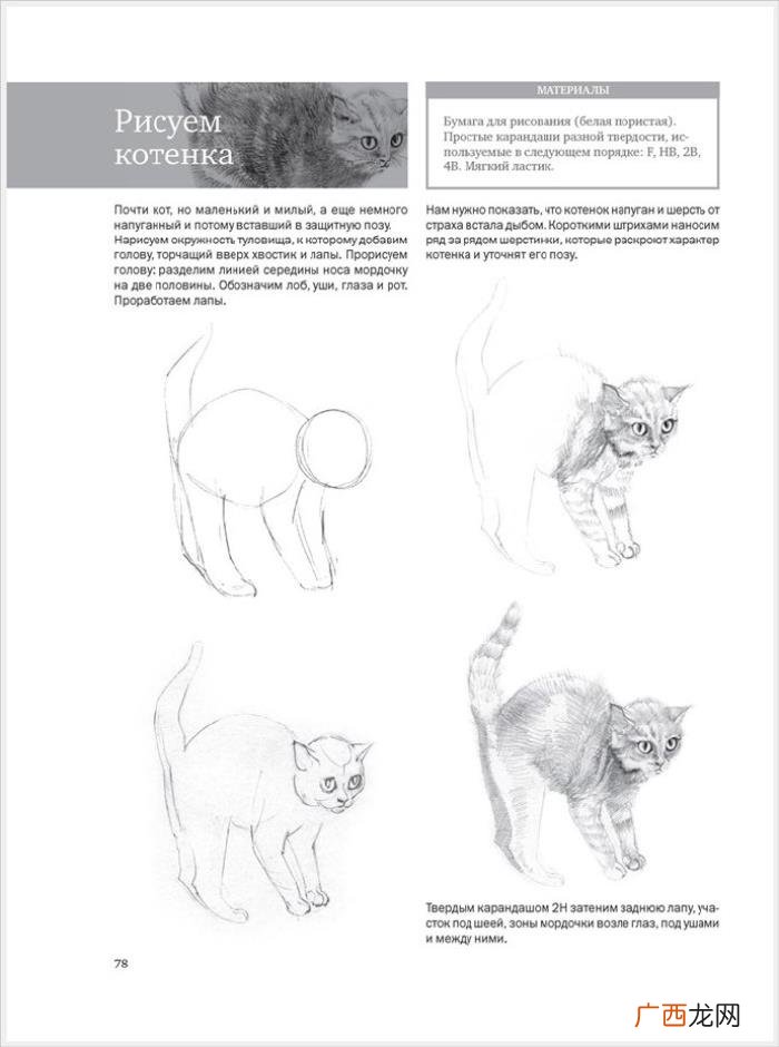 参考资料 素描画初学，适合初学者的简单素描绘画课程