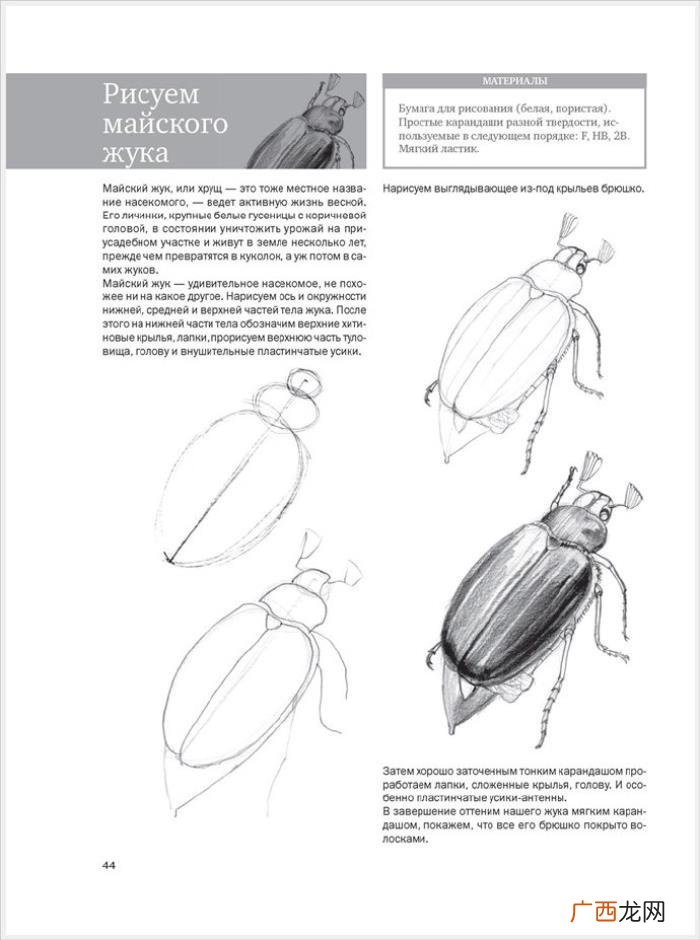 参考资料 素描画初学，适合初学者的简单素描绘画课程