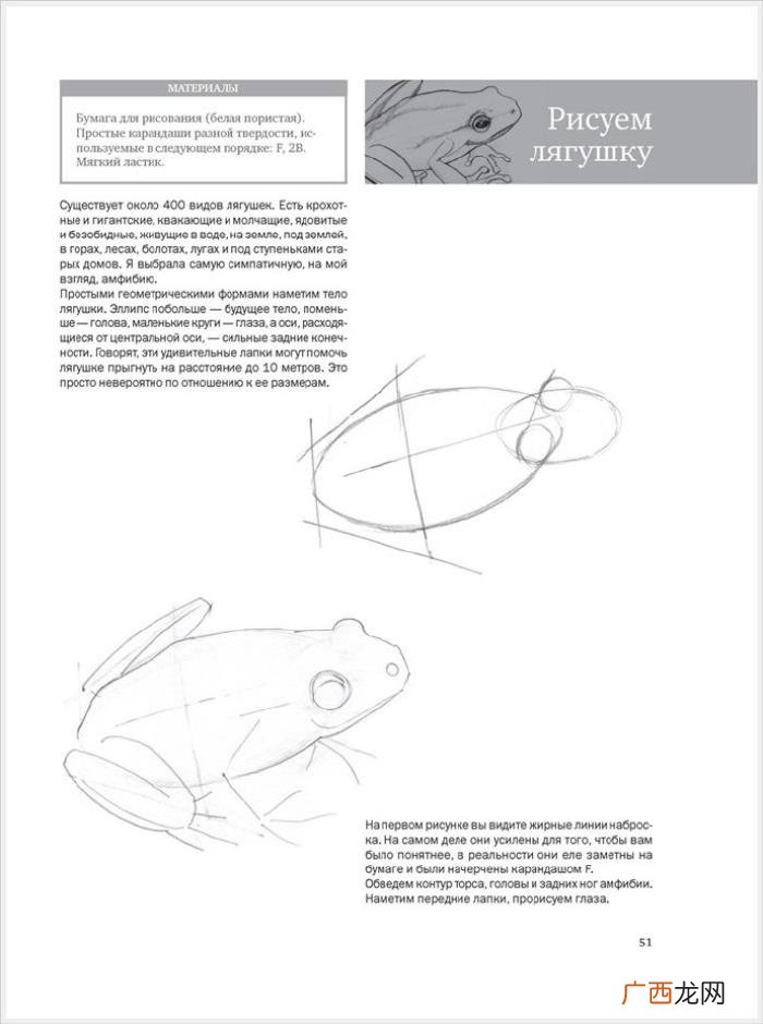 参考资料 素描画初学，适合初学者的简单素描绘画课程