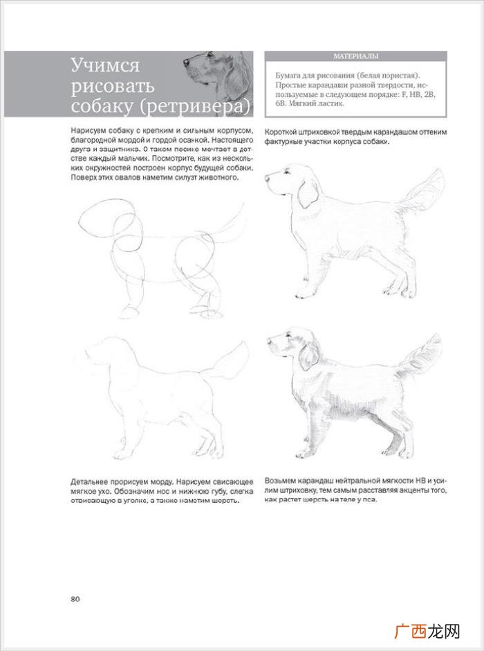 参考资料 素描画初学，适合初学者的简单素描绘画课程