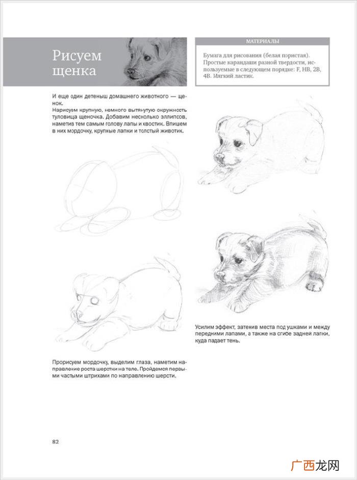 参考资料 素描画初学，适合初学者的简单素描绘画课程