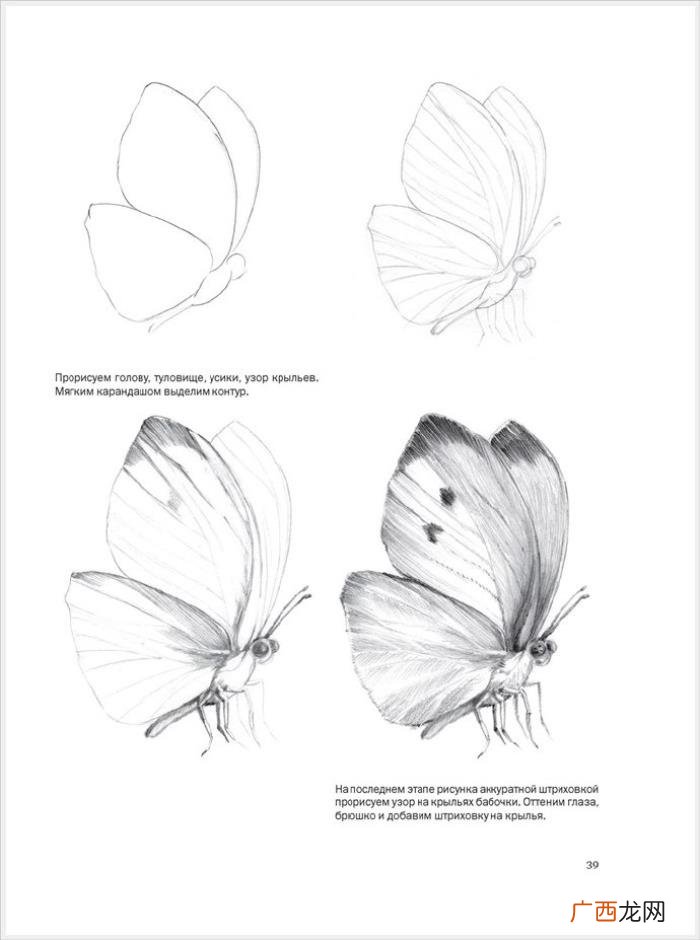 参考资料 素描画初学，适合初学者的简单素描绘画课程