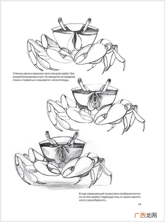 参考资料 素描画初学，适合初学者的简单素描绘画课程