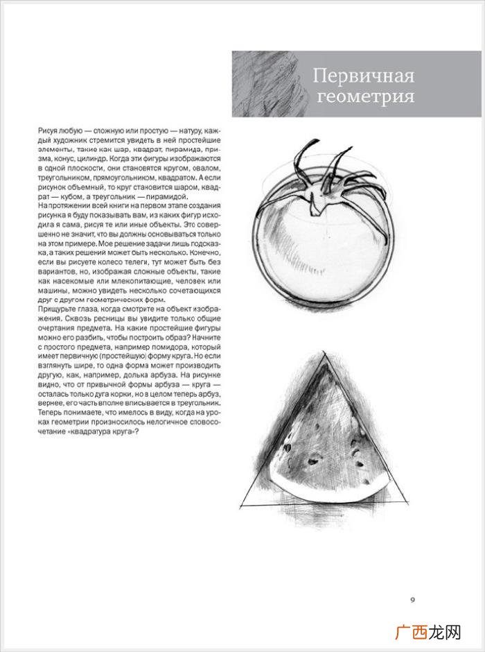 参考资料 素描画初学，适合初学者的简单素描绘画课程
