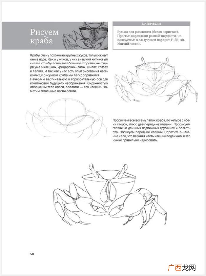 参考资料 素描画初学，适合初学者的简单素描绘画课程