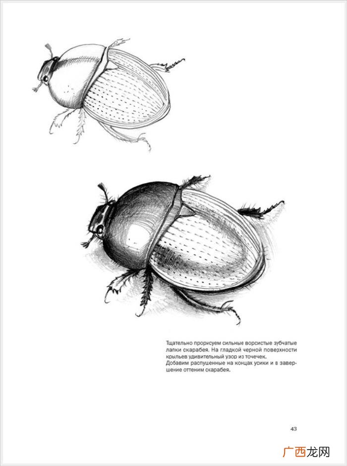 参考资料 素描画初学，适合初学者的简单素描绘画课程