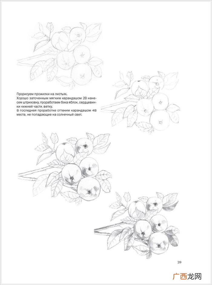 参考资料 素描画初学，适合初学者的简单素描绘画课程