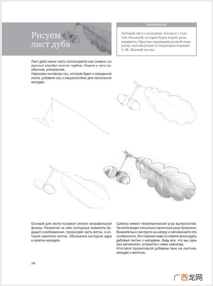 参考资料 素描画初学，适合初学者的简单素描绘画课程