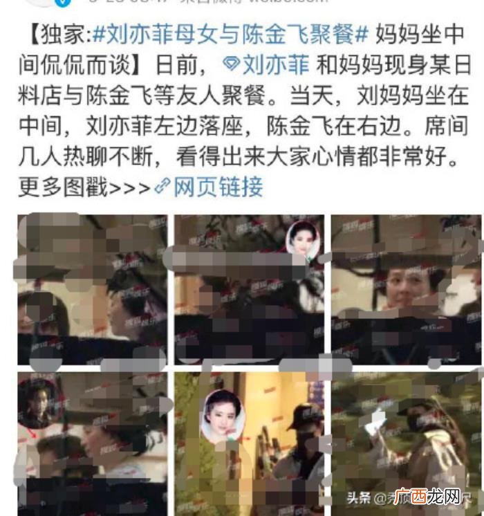 杨采钰结婚,杨采钰被曝已与刘亦菲57岁干爹结婚