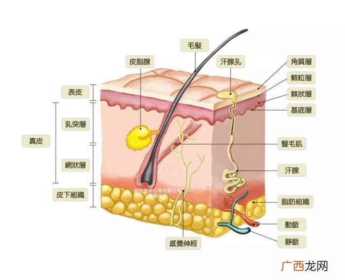 宋慧乔素颜，38岁宋慧乔这素颜状态你给打几分