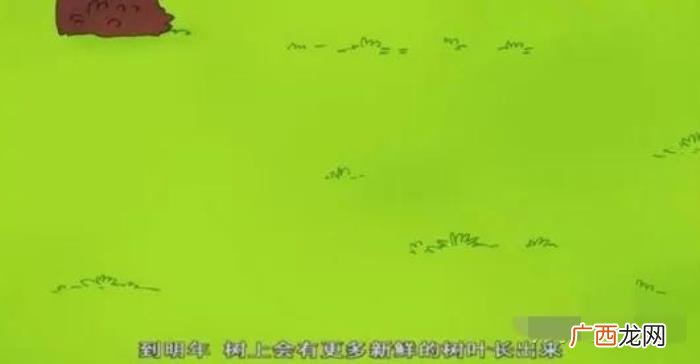长津湖动画，长津湖观后感人活着的意义一部动画完美诠释