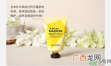 Phyto Tree芝士奶酪护手霜真假怎么辨别?
