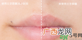 兰芝唇膜使用方法 兰芝唇膜怎么用