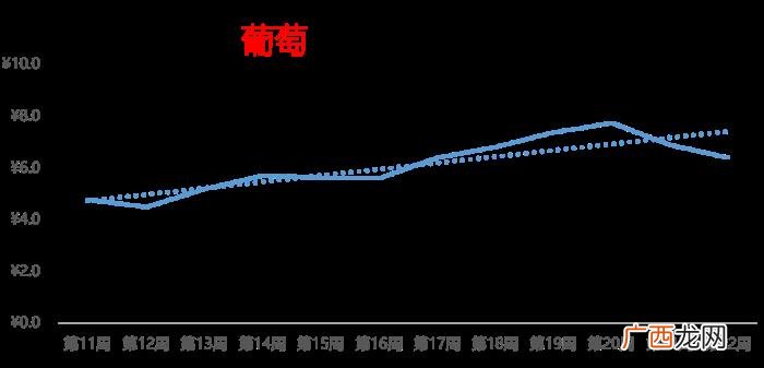 最新热搜榜，大蒜行情小涨、西瓜霸居热搜榜榜首