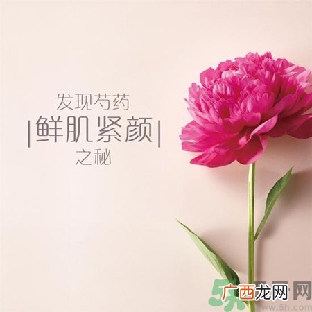 梦妆芍药系列适合人群 梦妆芍药系列适合年龄
