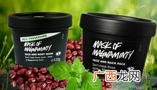 lush薄荷面膜多少钱?lush薄荷面膜专柜价格