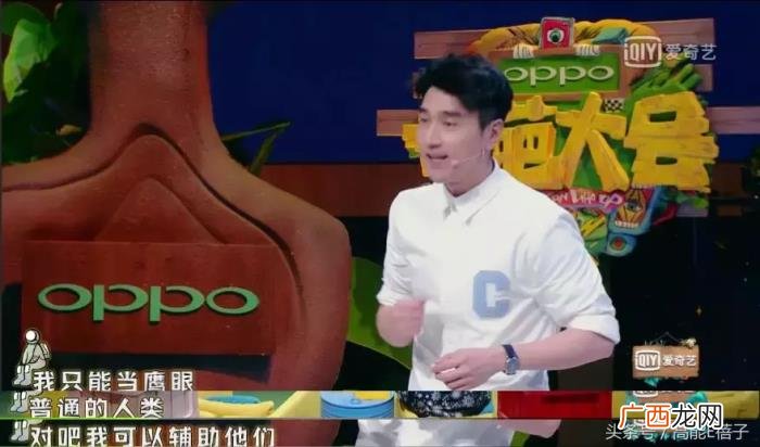 赵又廷综艺，这综艺让我明白高圆圆为啥嫁赵又廷