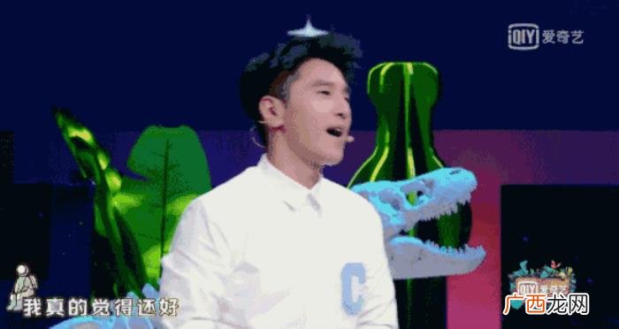 赵又廷综艺，这综艺让我明白高圆圆为啥嫁赵又廷