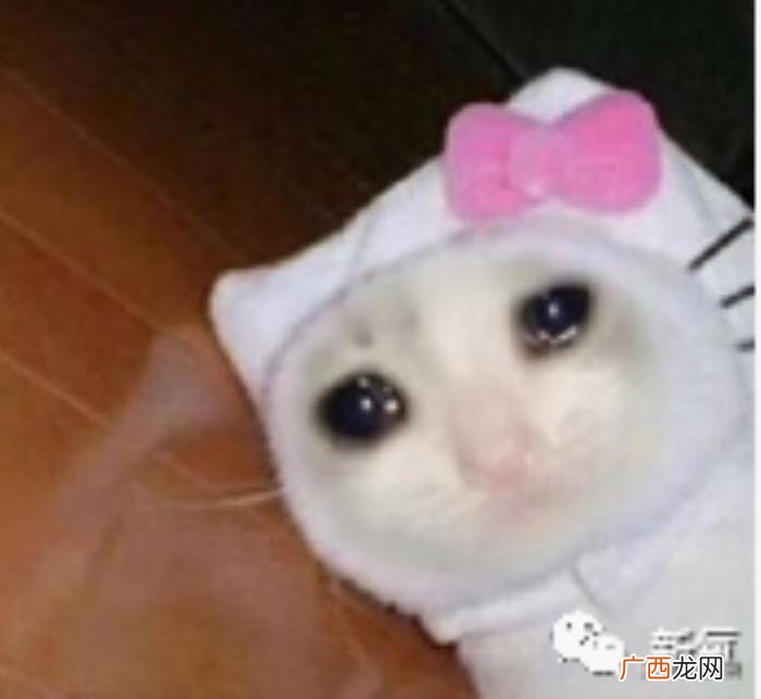 毛晓彤的脸，为什么大家对毛晓彤的非工业糖精脸那么宽容