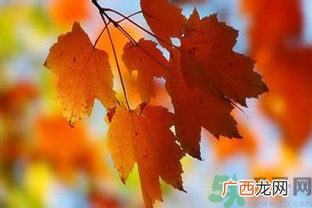 秋燥皮肤痒吃什么好？秋燥4妙招保护皮肤