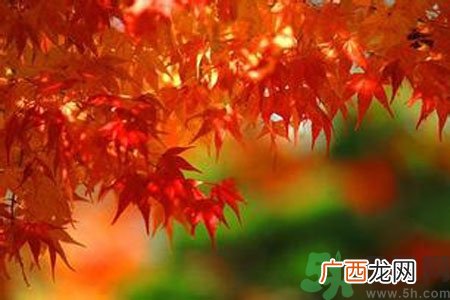 秋燥皮肤痒吃什么好？秋燥4妙招保护皮肤