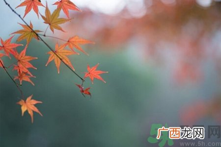 秋燥皮肤痒吃什么好？秋燥4妙招保护皮肤
